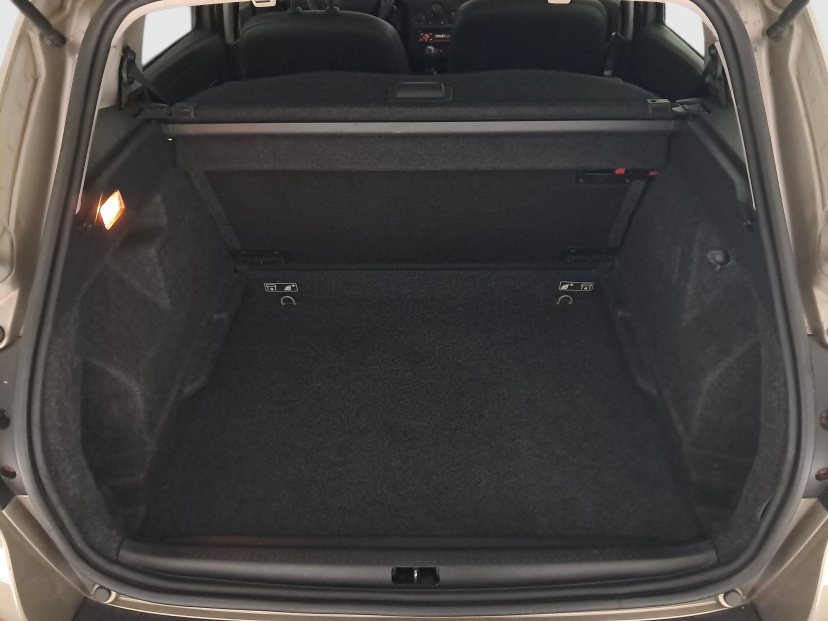 Renault Clio, 2009
