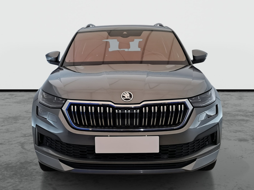 Škoda Kodiaq, 2021