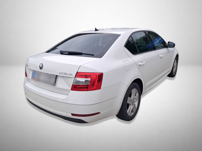 Škoda Octavia, 2019