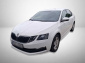 Škoda Octavia, 2019