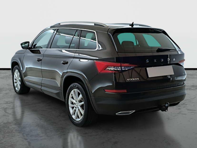Škoda Kodiaq, 2019