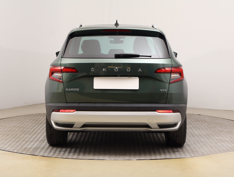 Škoda Karoq, 2020