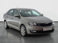 Škoda Rapid, 2019