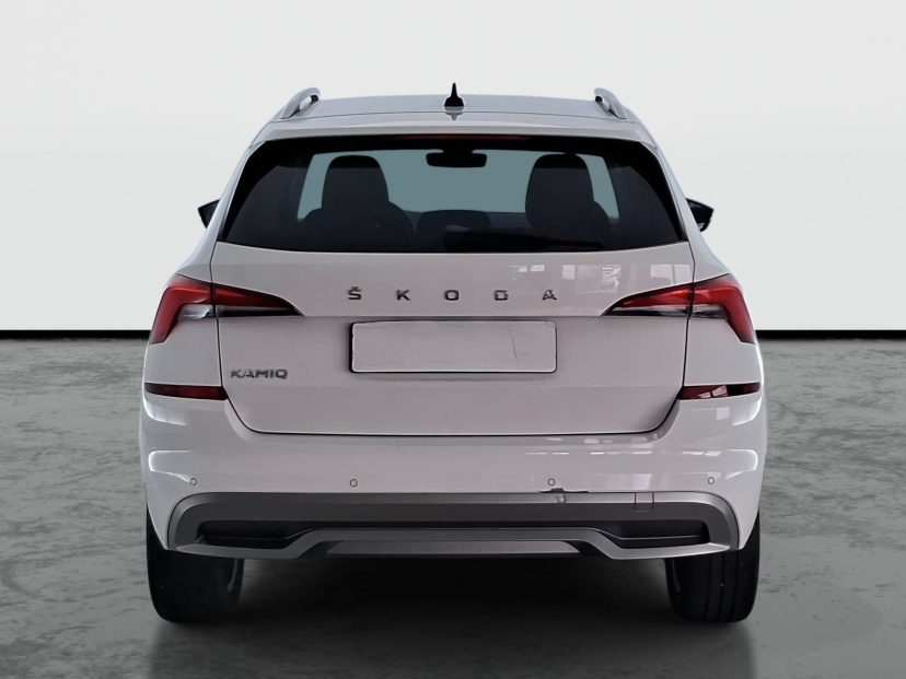 Škoda Kamiq, 2019