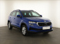 Škoda Karoq, 2023