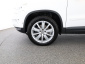 Volkswagen Tiguan, 2010