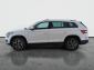 Škoda Kodiaq, 2017