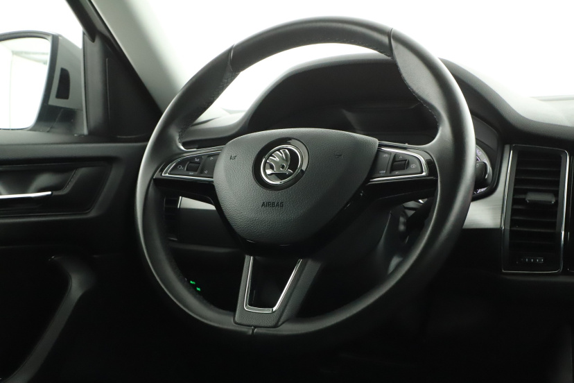 Škoda Kodiaq, 2019