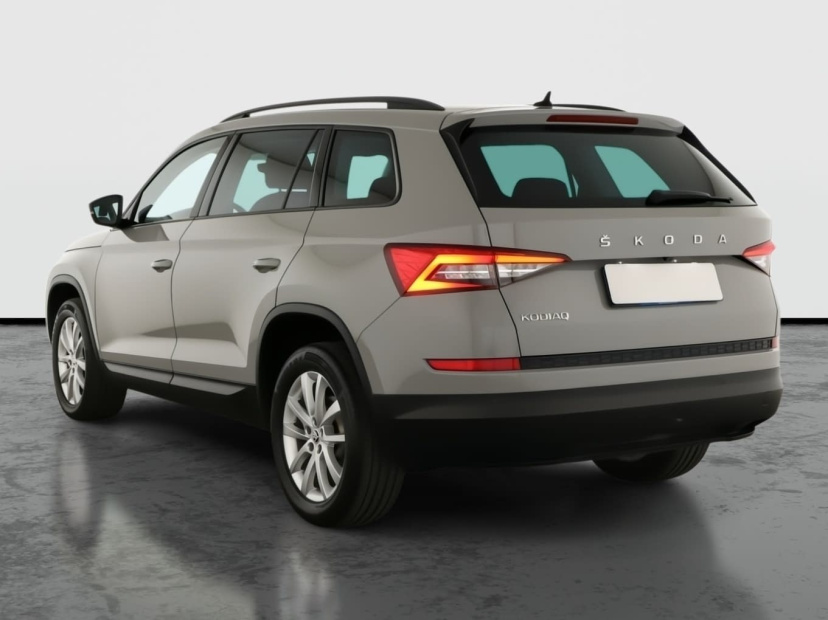 Škoda Kodiaq, 2019