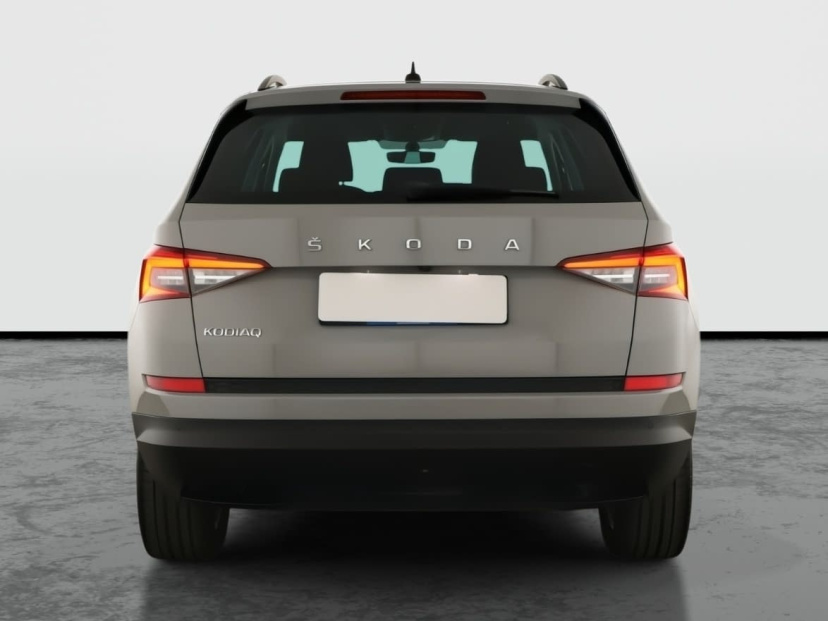 Škoda Kodiaq, 2019