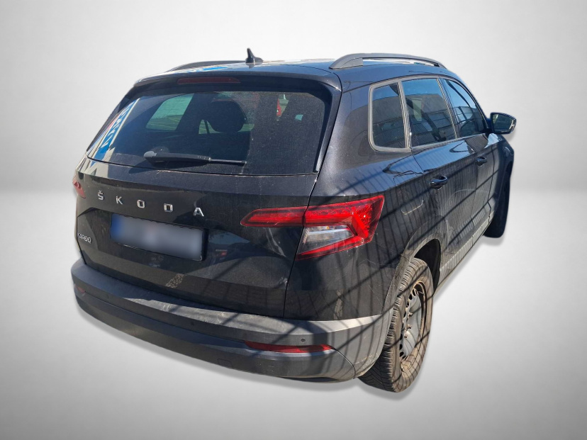 Škoda Karoq, 2019