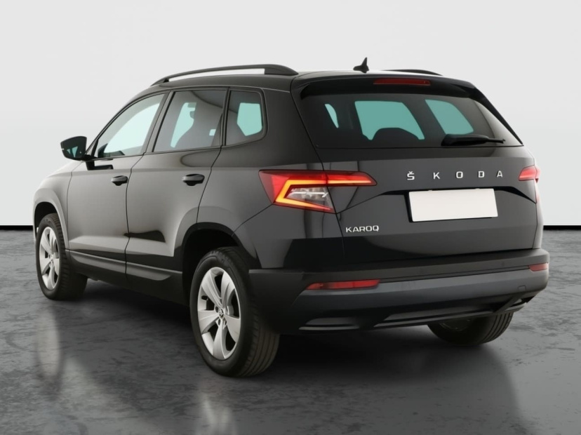 Škoda Karoq, 2019