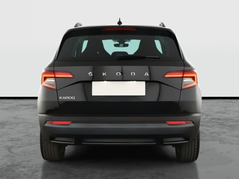 Škoda Karoq, 2019
