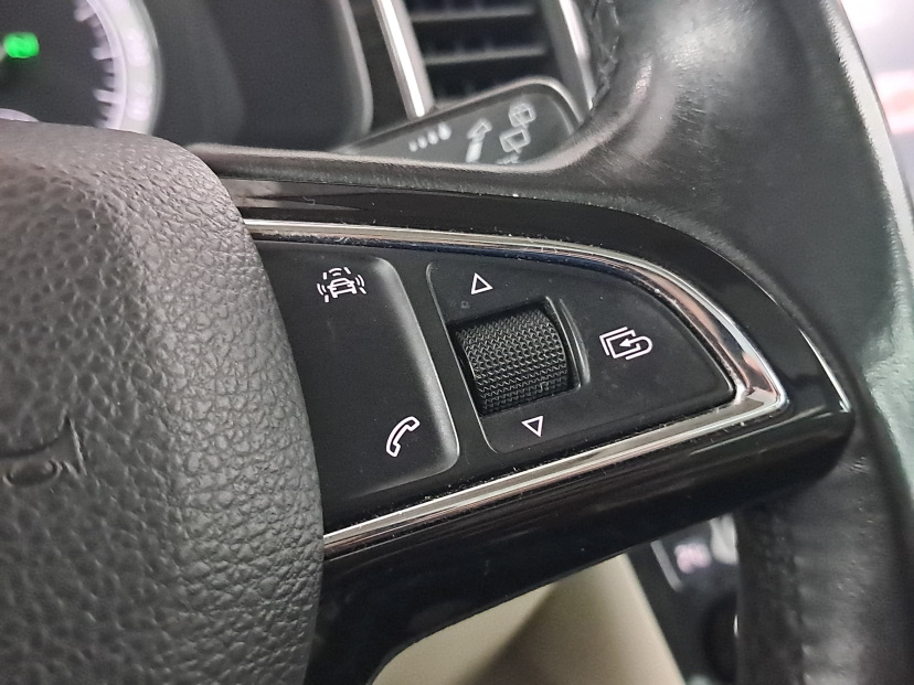 Škoda Kodiaq, 2017