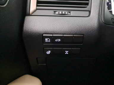 Lexus RX - 2023
