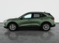 Ford Kuga, 2025