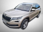 Škoda Kodiaq, 2019