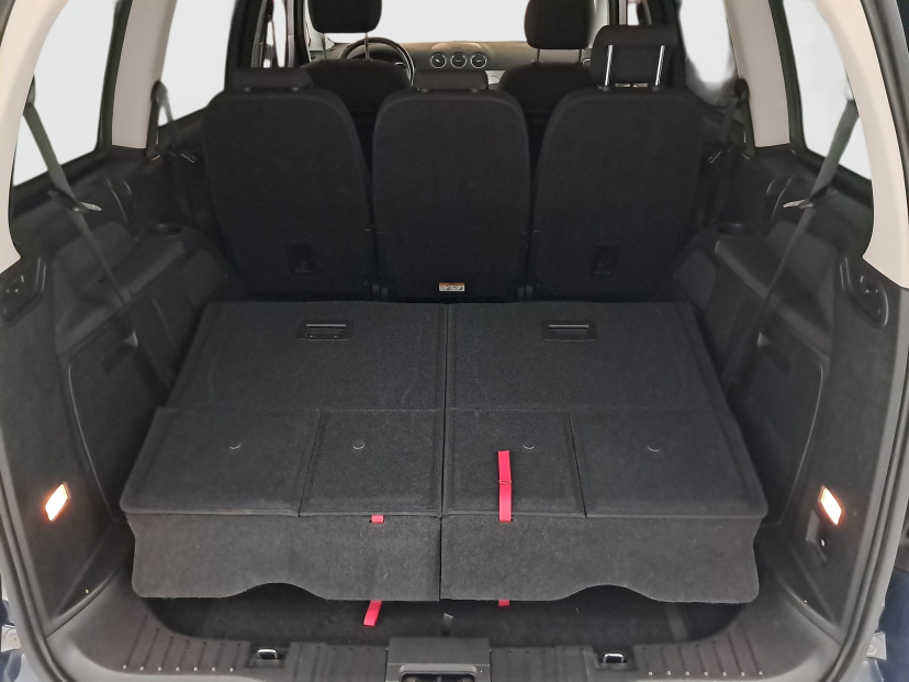 Ford Galaxy, 2010
