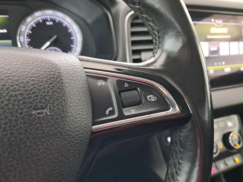 Škoda Karoq, 2018