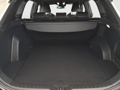 Toyota RAV 4 - 2022