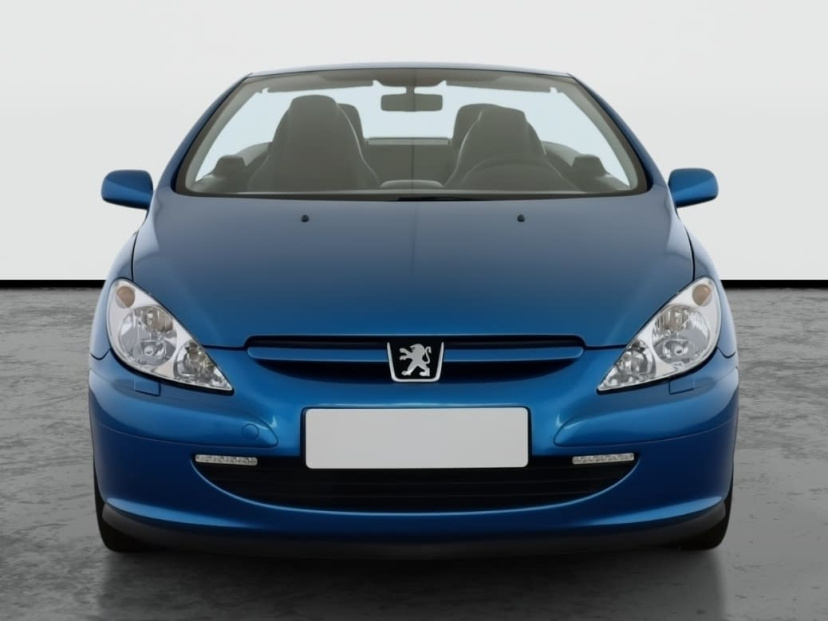 Peugeot 307, 2004