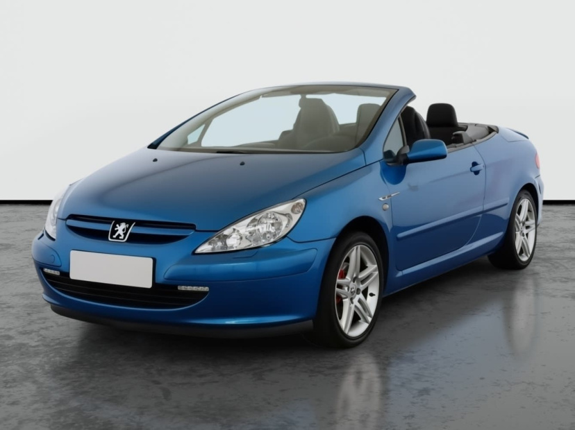 Peugeot 307, 2004