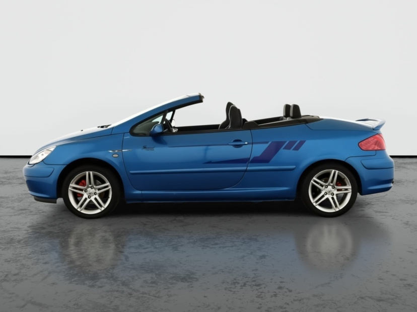 Peugeot 307, 2004