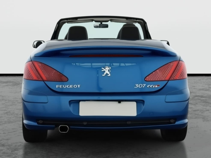 Peugeot 307, 2004