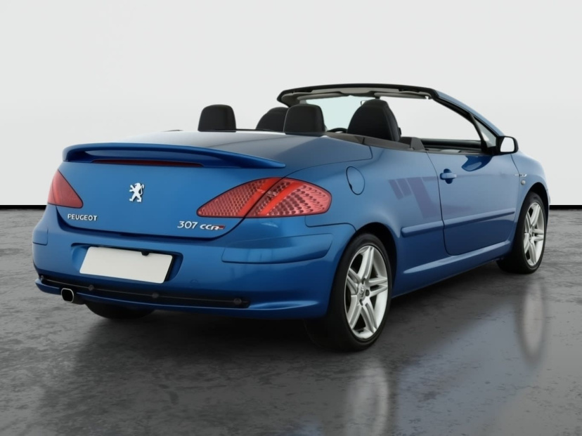 Peugeot 307, 2004