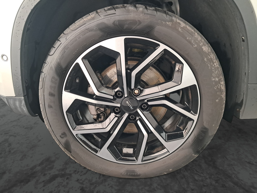 Volkswagen Tiguan, 2010