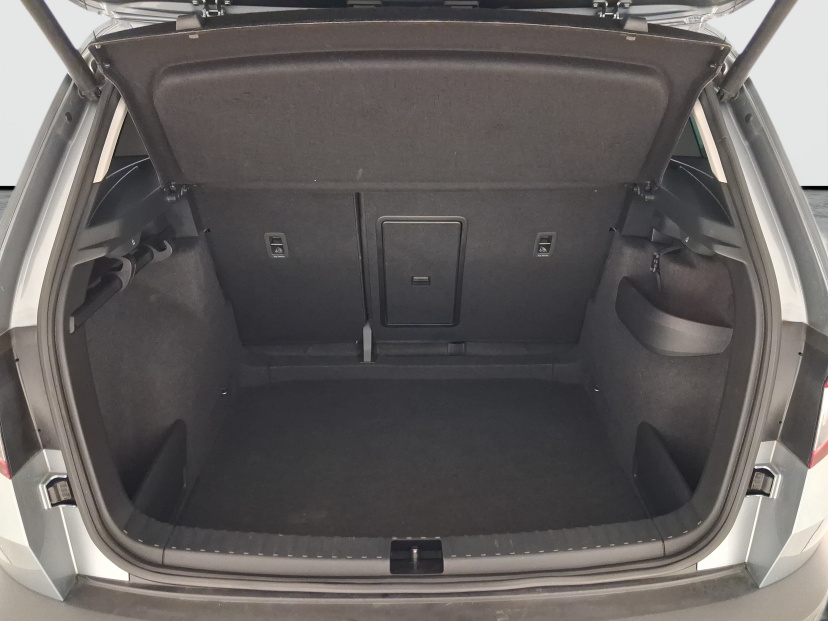 Škoda Karoq, 2021
