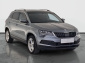 Škoda Karoq, 2021