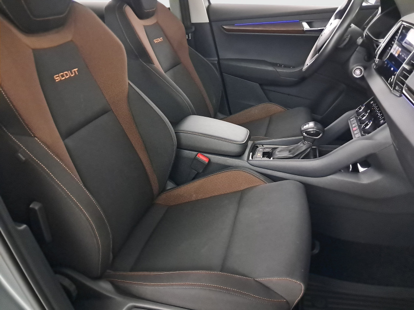 Škoda Karoq, 2020