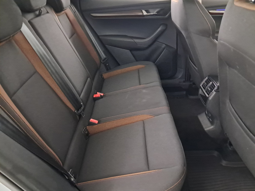 Škoda Karoq, 2020
