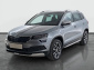 Škoda Karoq, 2020
