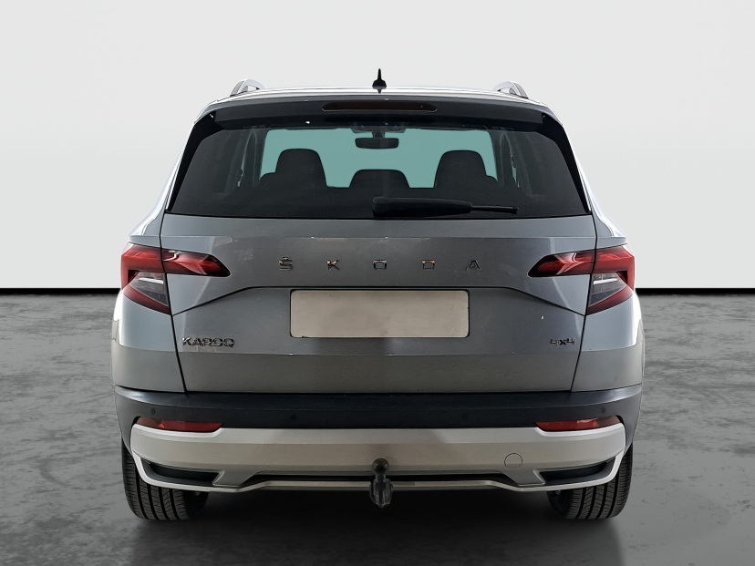 Škoda Karoq, 2020