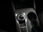 Ford Focus, 2019