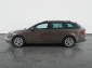 Škoda Octavia, 2019