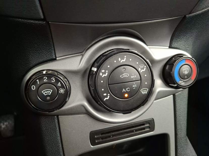 Ford Fiesta, 2010