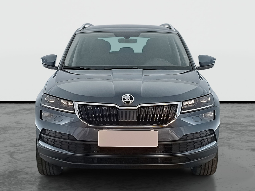 Škoda Karoq, 2019