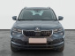 Škoda Karoq, 2019