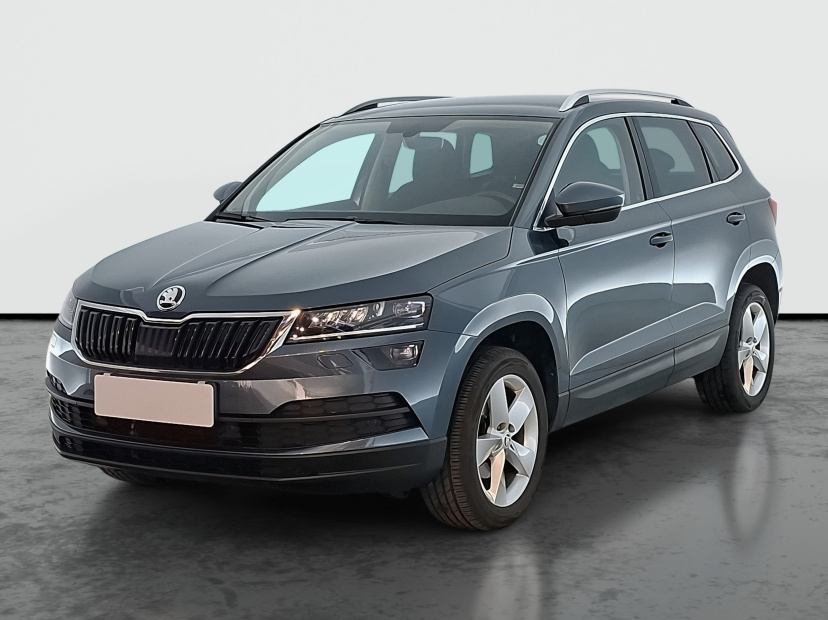 Škoda Karoq, 2019