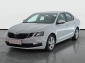 Škoda Octavia, 2019