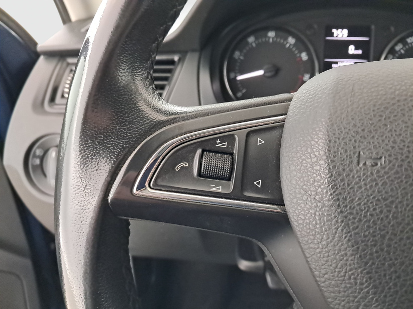 Škoda Rapid, 2013