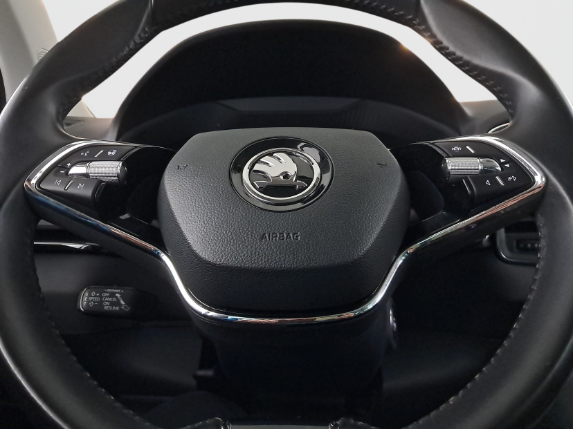 Škoda Karoq, 2021