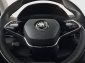 Škoda Karoq, 2021