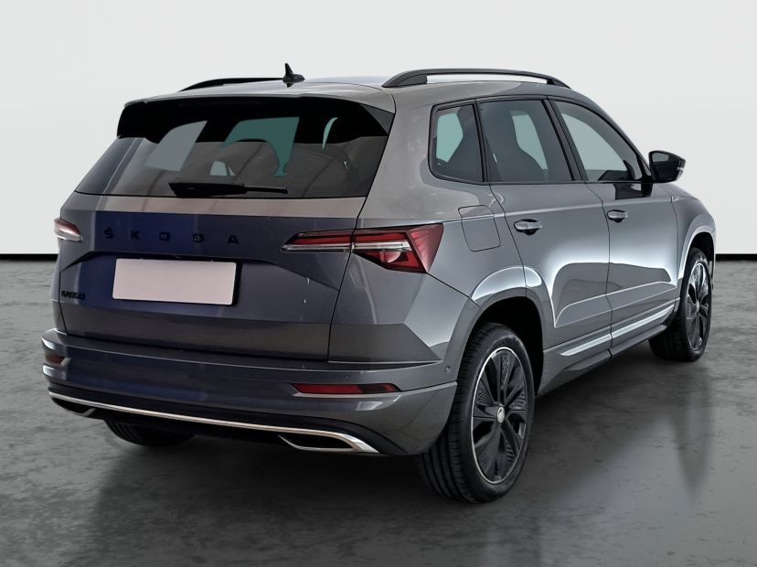 Škoda Karoq, 2024