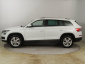 Škoda Kodiaq, 2019