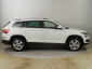 Škoda Kodiaq, 2019