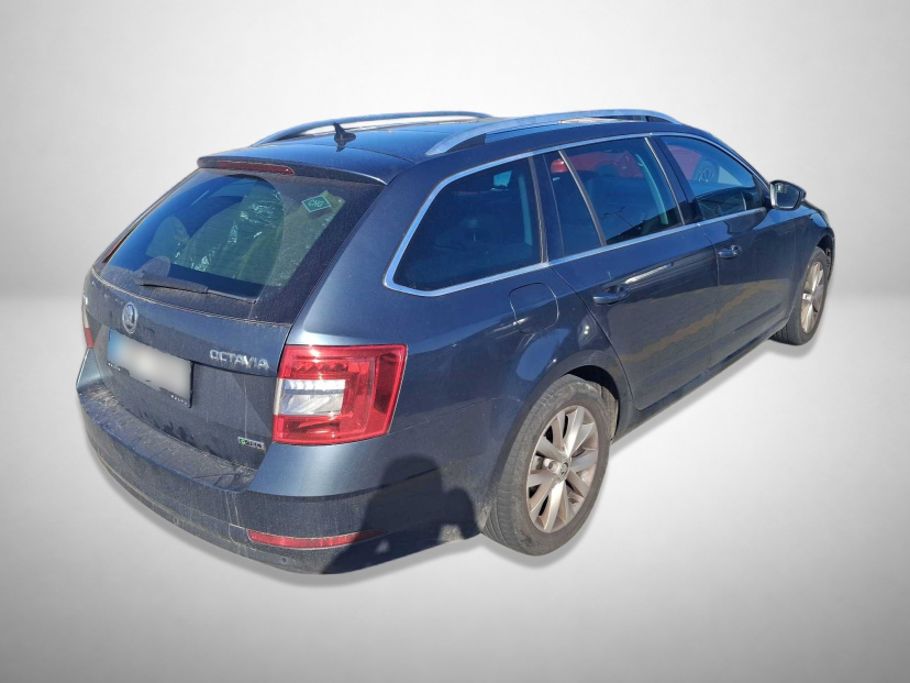 Škoda Octavia, 2019